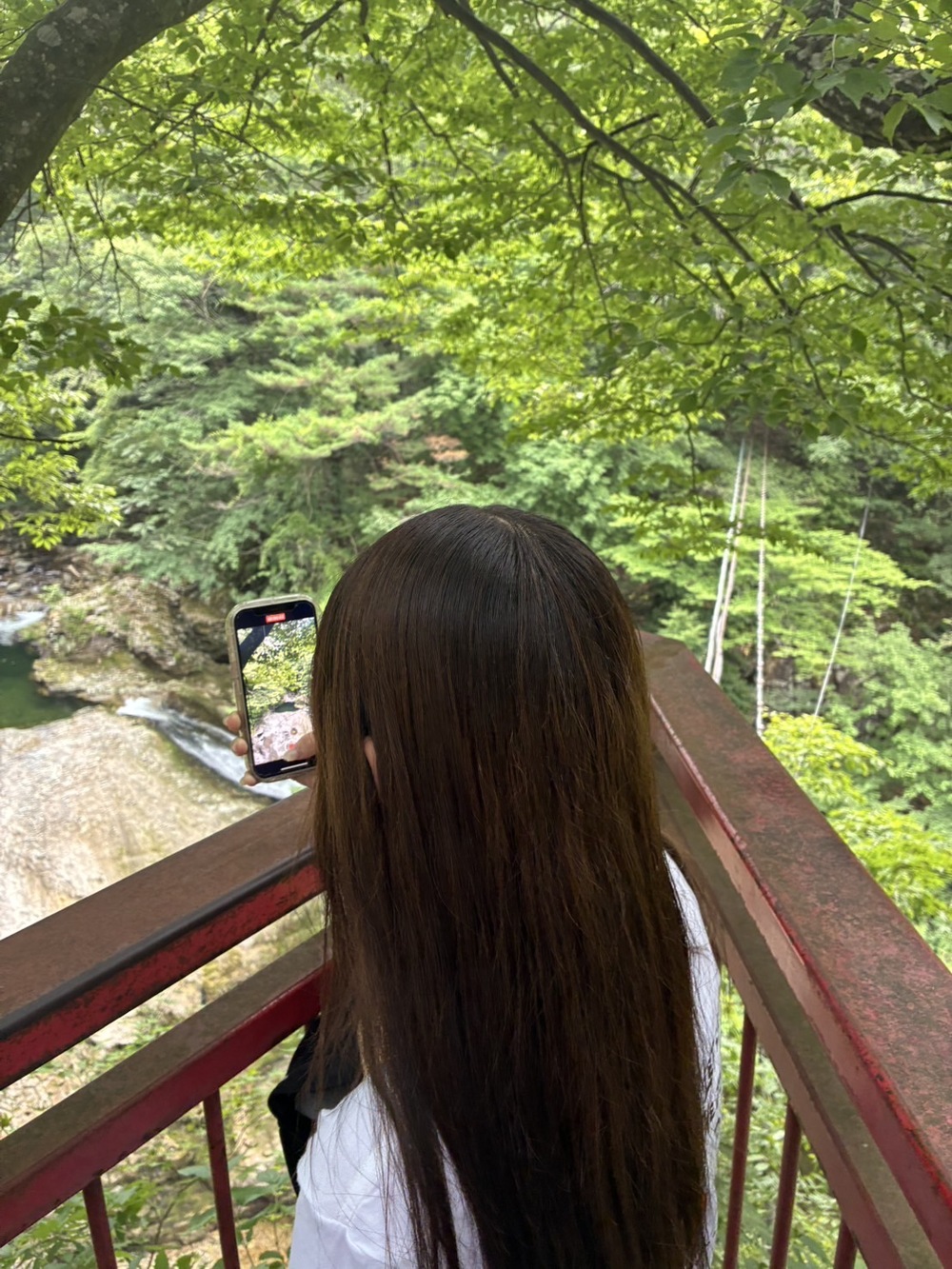きらりが現れる日 🌤️