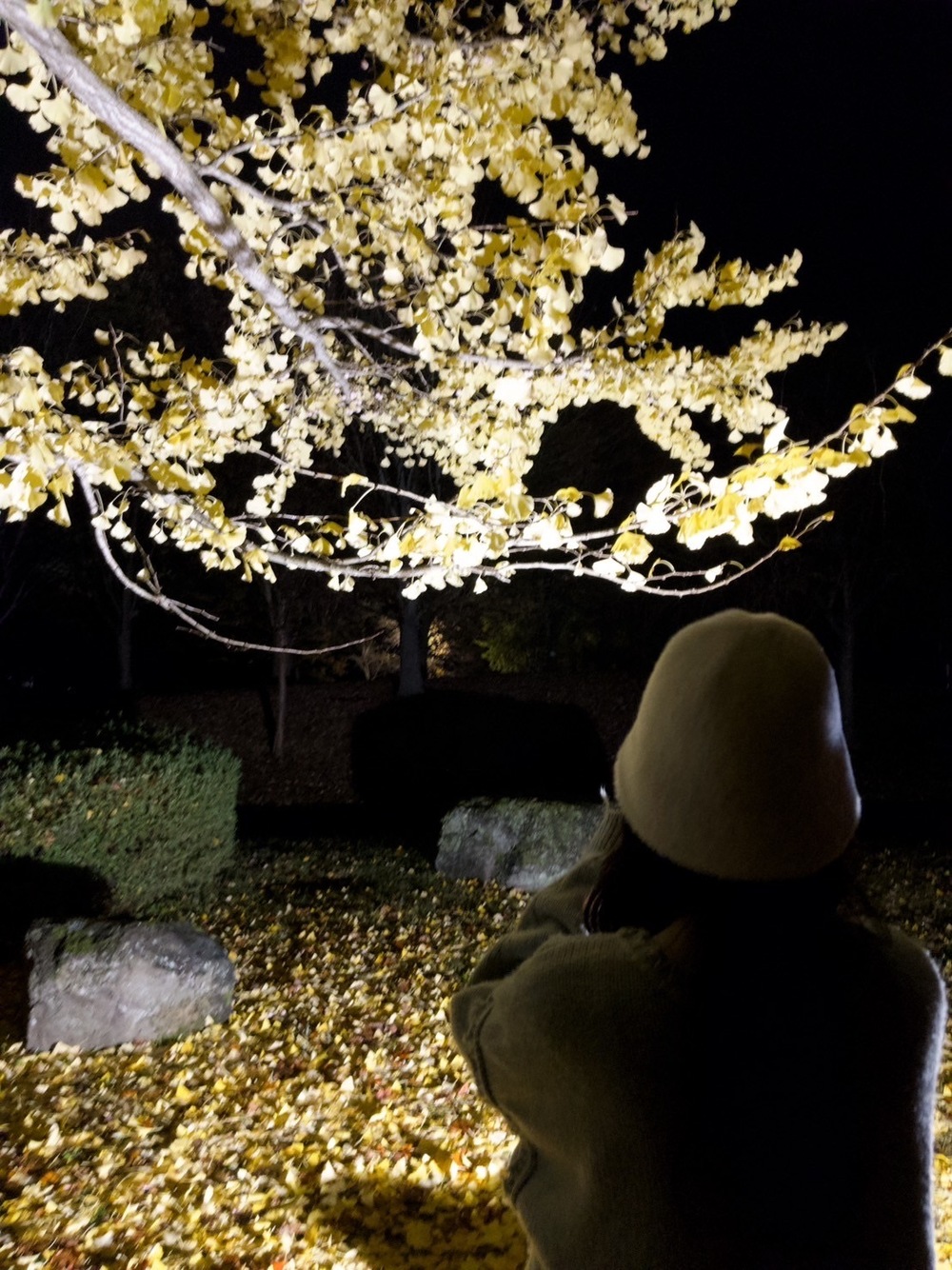 お礼と出勤 💌