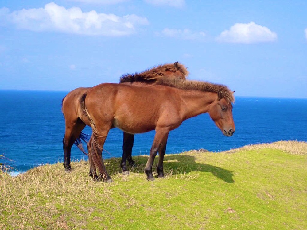 今月出勤できません ( ; _ ; )